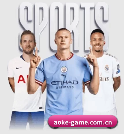 aoke APP