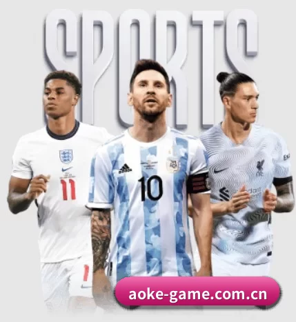 aoke APP 界面